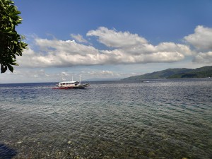One day trip to Anilao. How to get there and what to do